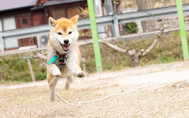  CADCAMルーム 応接室